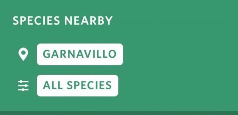 iseeknaturalist iseeknaturalist