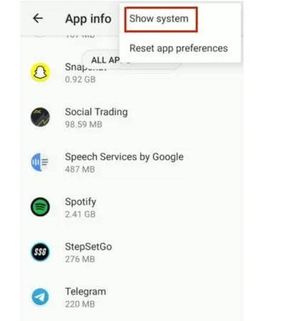 show system