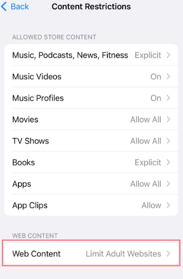 Web content restrictions